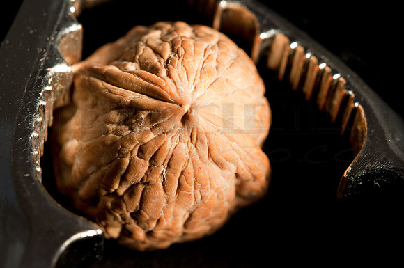 Light Painting with Food #11