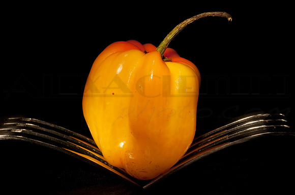 Light Painting with Food #7
